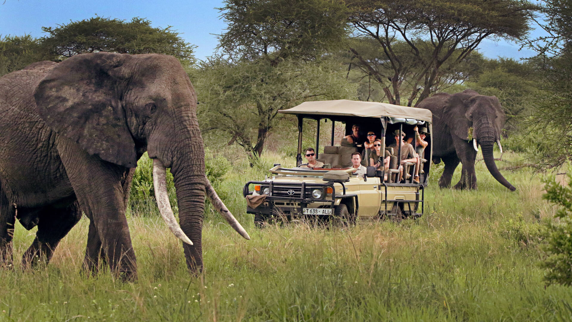 Tanzania-safaris-katona-tours