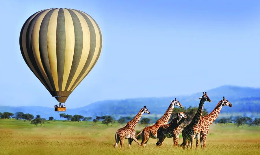 1-Day Hot Air Balloon Safari Tour at Tarangire National Park