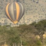 1-Day Hot Air Balloon Safari Tour at Tarangire National Park