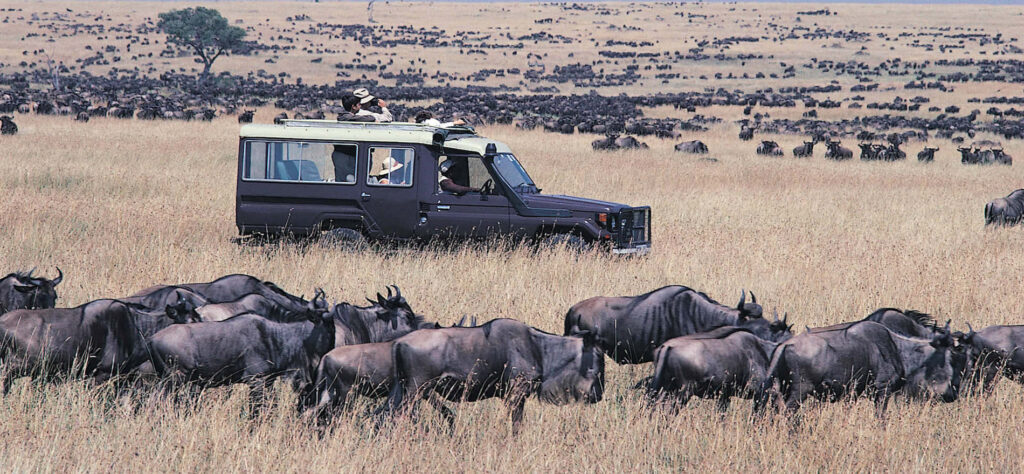 3-Day of Wildebeest Migration Ndutu Safaris katona1