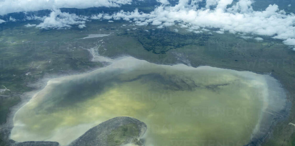1-Day Tour Safari to Ngorongoro Crater, Tanzania