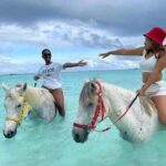 6 DAYS LUXURY HONEYMOON SAFARI: TARANGIRE - SERENGETI - NGORONGORO - ARUSHA