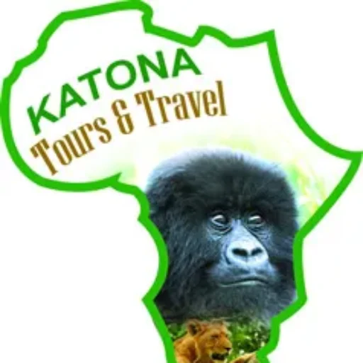 Discover Africa’s Unmatched Safari Tours & Holidays