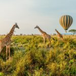 1-Day Hot Air Balloon Safari Tour at Tarangire National Park