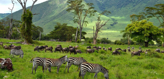 3-Day of Wildebeest Migration Ndutu Safaris