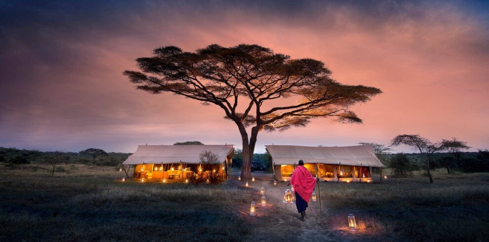 4-Day Luxury Serengeti Safari Tour